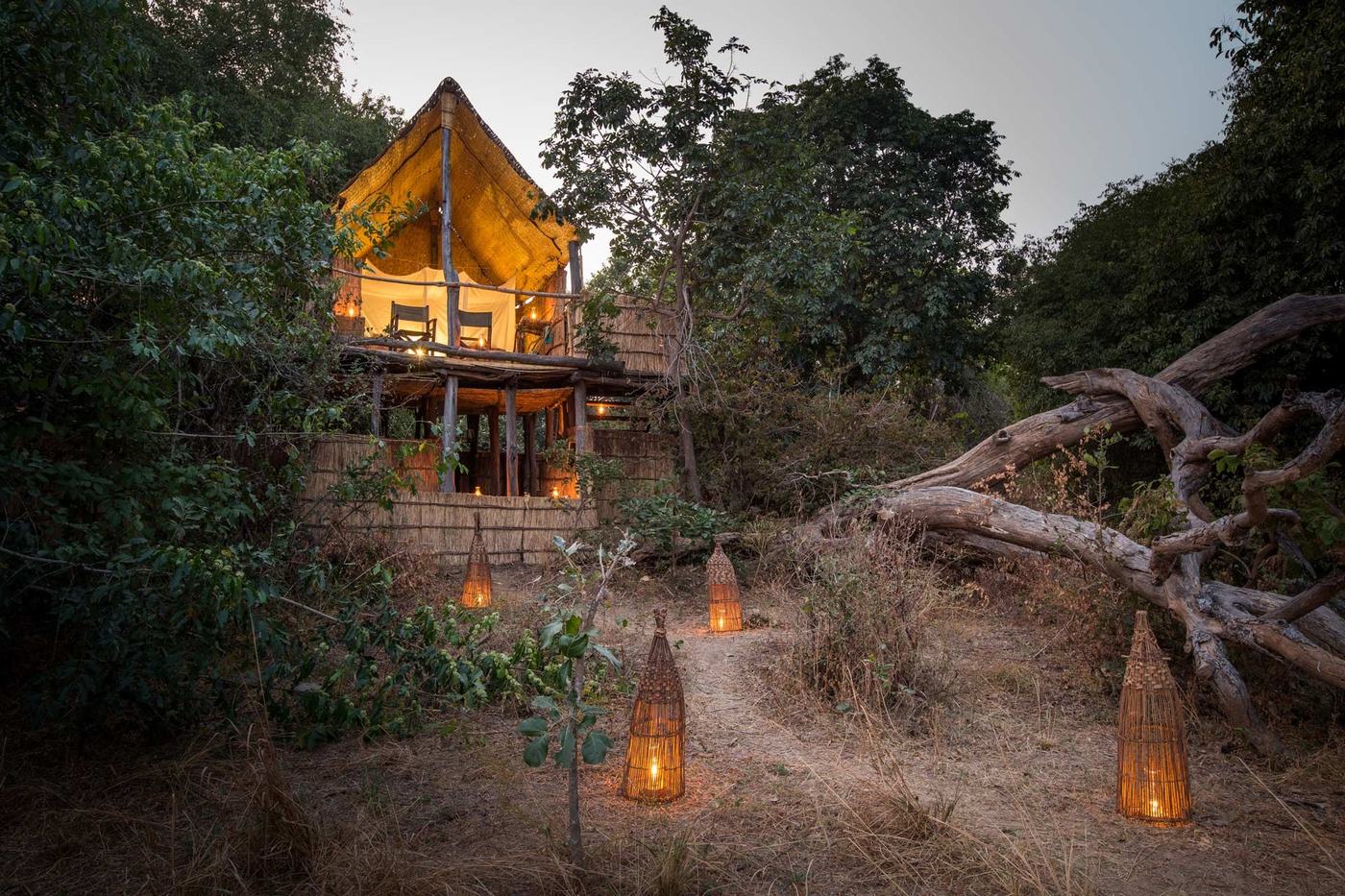 Chalet dans les arbres éclairé au crépuscule parmi la forêt, Chikoko Tree Camp, South Luangwa