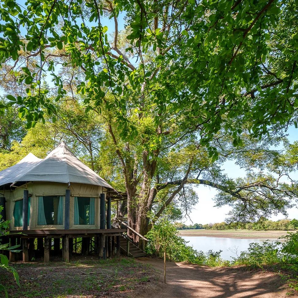 Une tente à toit de chaume sur pilotis surplombe la lagune du Luangwa à Chindeni Bushcamp, South Luangwa