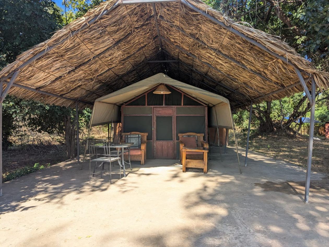 Pavillon ouvert couvert de chaume sous des acajous, Croc Valley Camp, South Luangwa