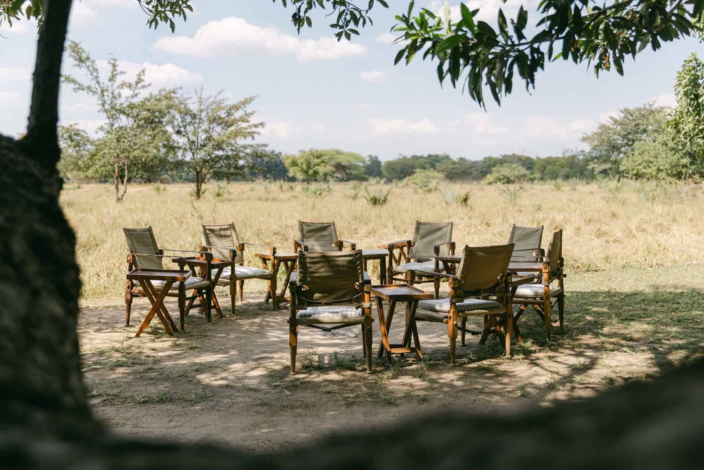 Chaises pliantes disposées en cercle sous un arbre face à la prairie ouverte à Luwi