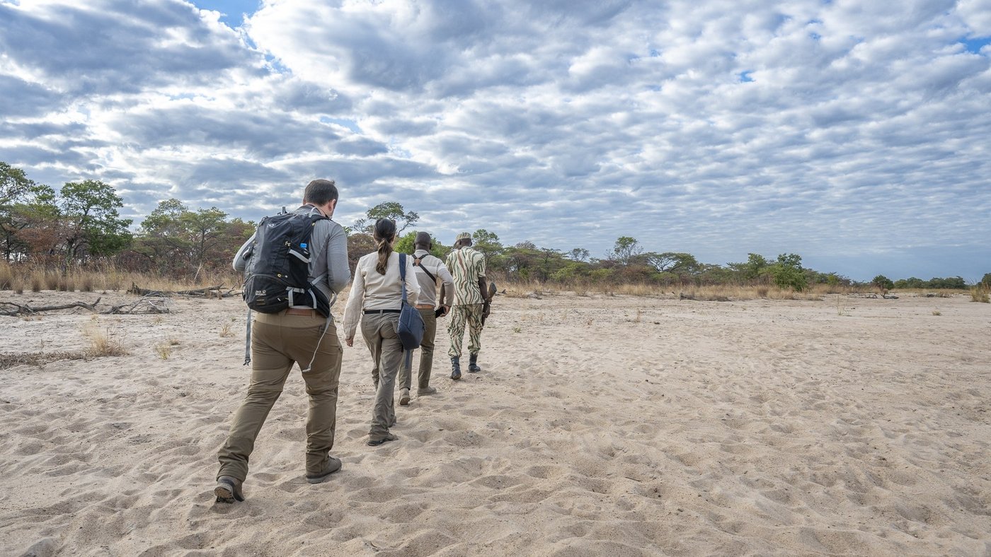 Guide menant des clients en safari à pied à travers un lit de rivière asséché chez Nkonzi Camp