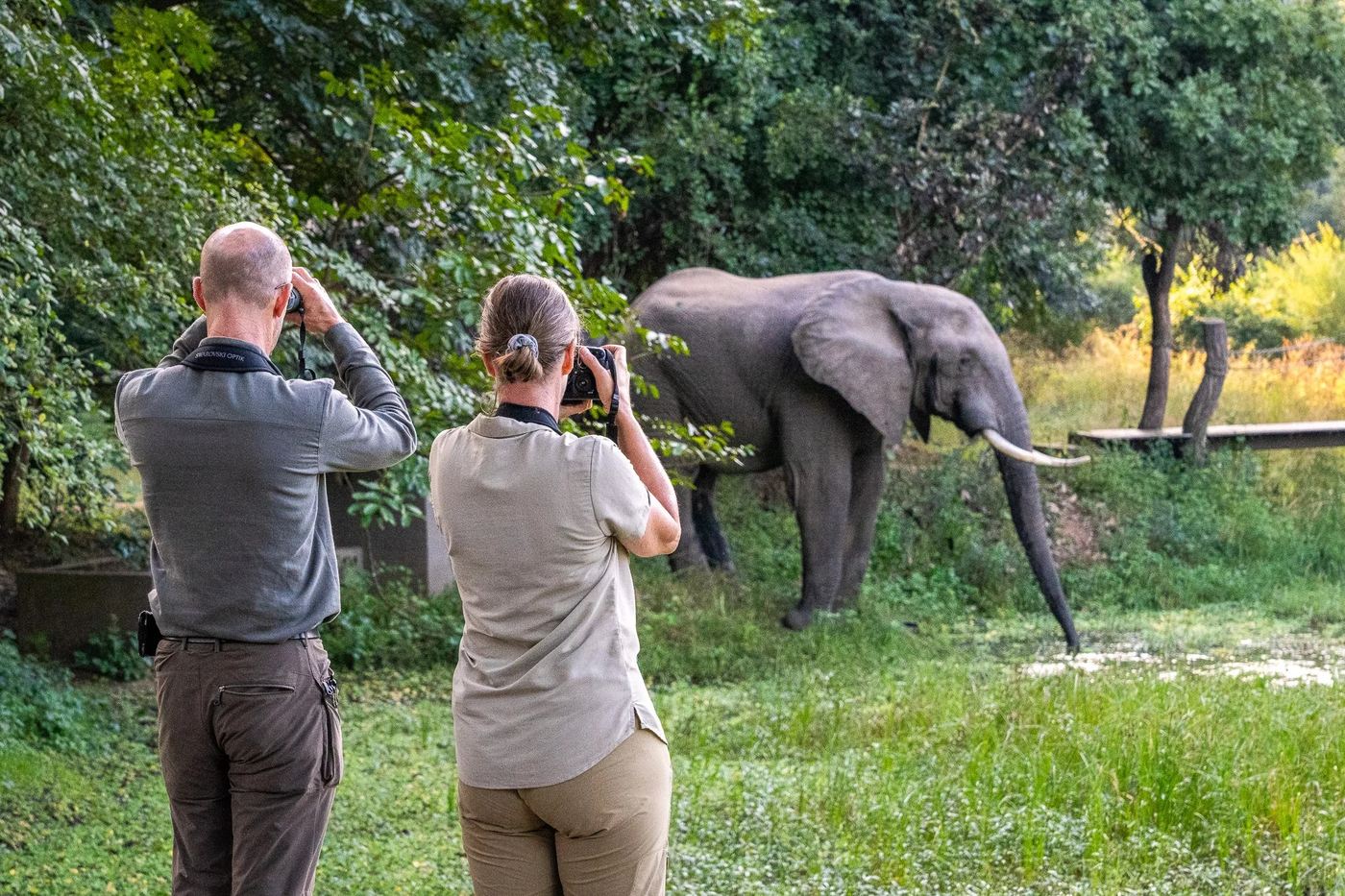 Des clients photographiant un éléphant depuis la rive au Nkwali Camp