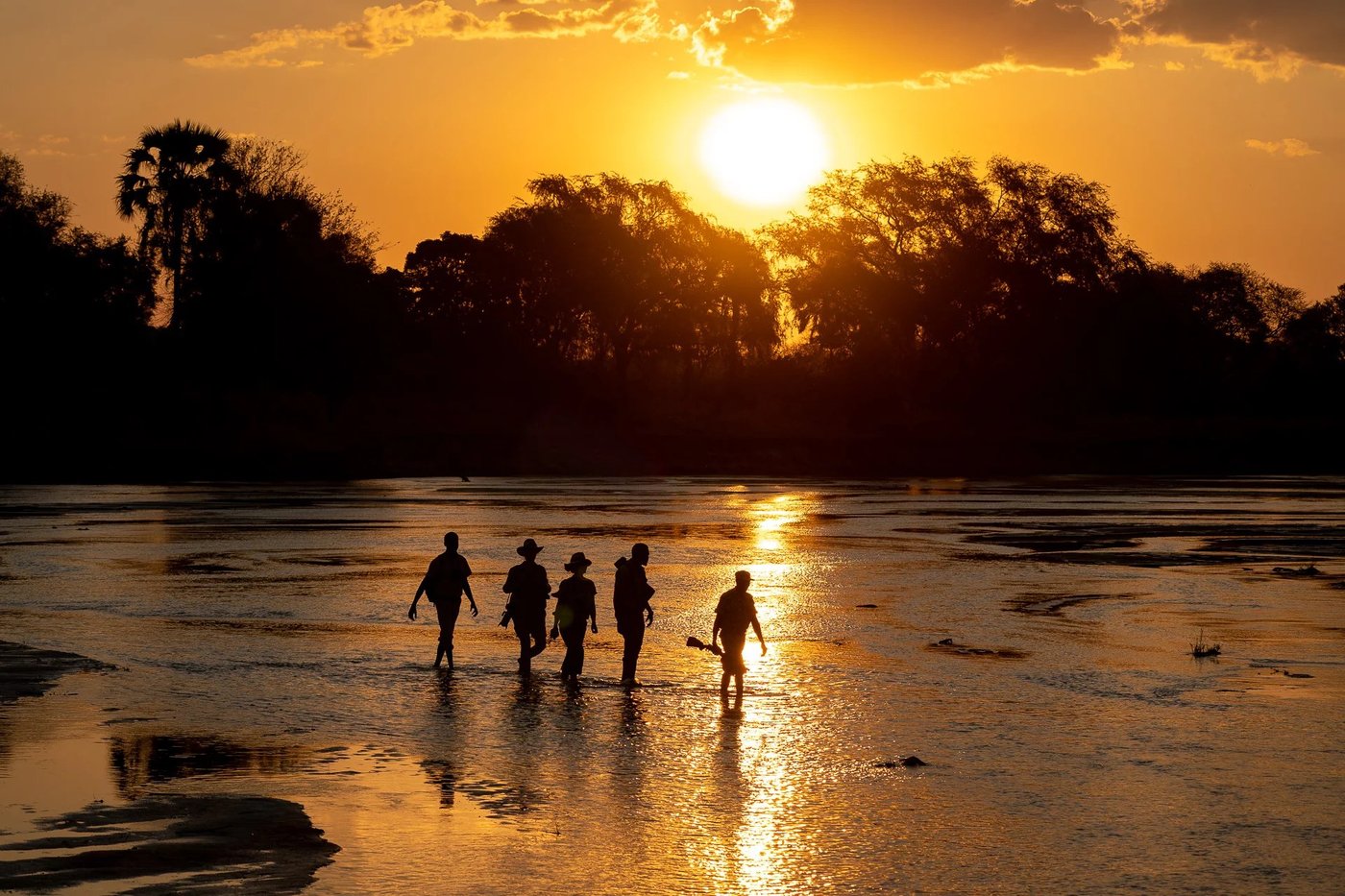 Marcheurs traversant un banc de sable au coucher du soleil pendant le safari à pied mobile RPS, South Luangwa