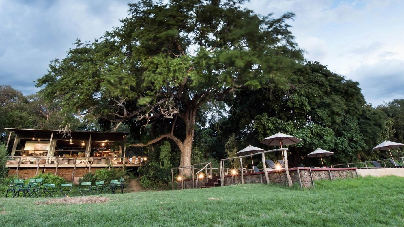 Le salon en chaume et la terrasse de la piscine se trouvent sous un grand arbre à Shawa Luangwa Camp, South Luangwa