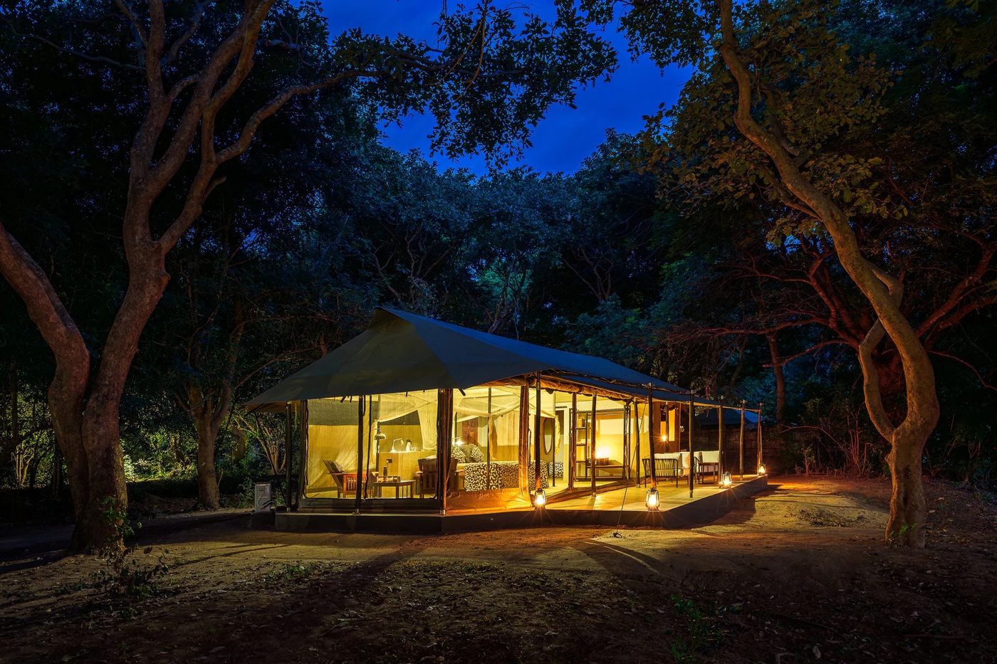 Tente aux parois vitrées brillant parmi les arbres au crépuscule, Tena Tena, South Luangwa