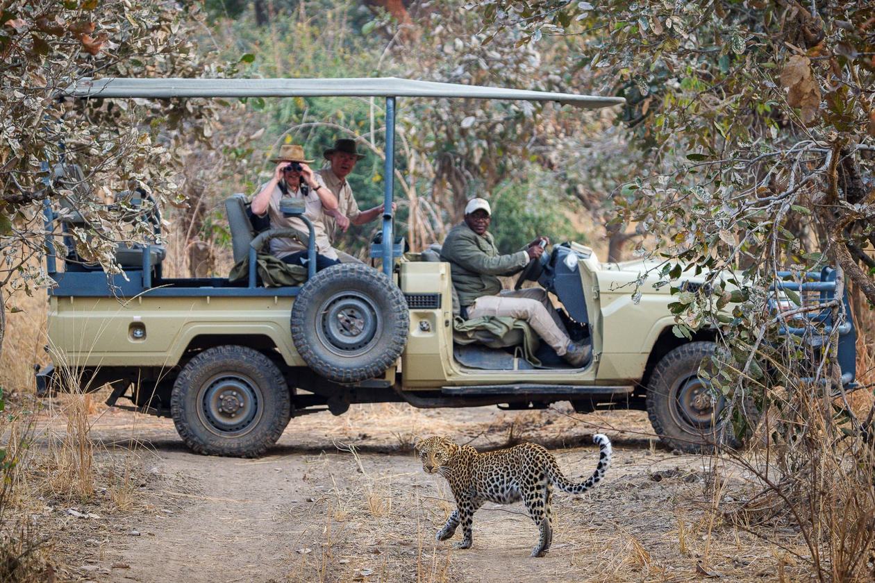 Véhicule de safari ouvert s'arrêtant sur un safari en 4x4 près du Tena Tena